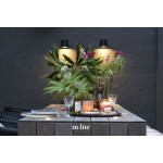 in-lite | HALO Down Dark | Wandlamp Buiten | 230V